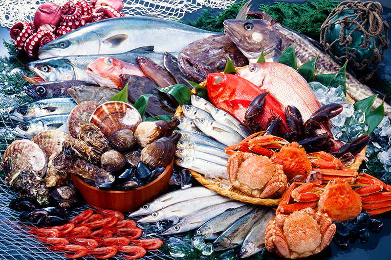水産物、生鮮食料品等の卸売り並びに輸出入業務