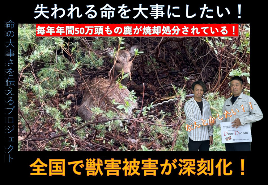 事業内容